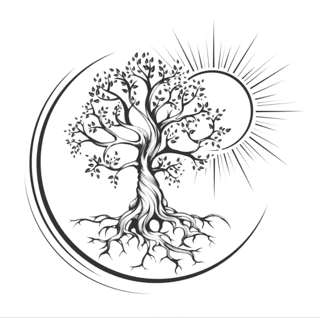 A Divine Connection Healing Arts Zenamu